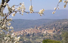 Blick auf Callian im Frühjahr